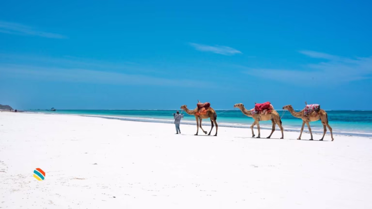 7 of Kenya's Most Beautiful Beaches (2024)