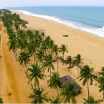 Top 5 National Parks in Côte d’Ivoire: Where Animals Roam Free