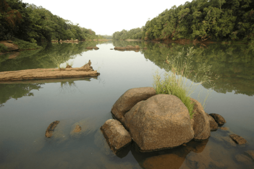 Comoé National Park