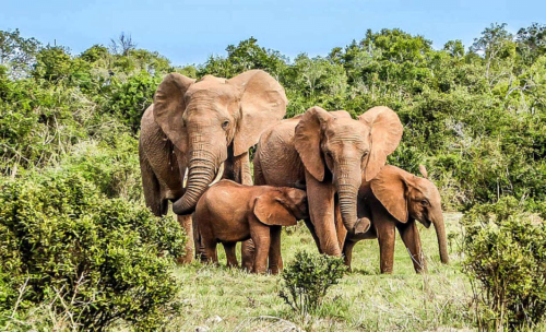 Marahoué National Park