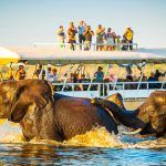 Top 5 Uganda National Parks for an Epic Experience