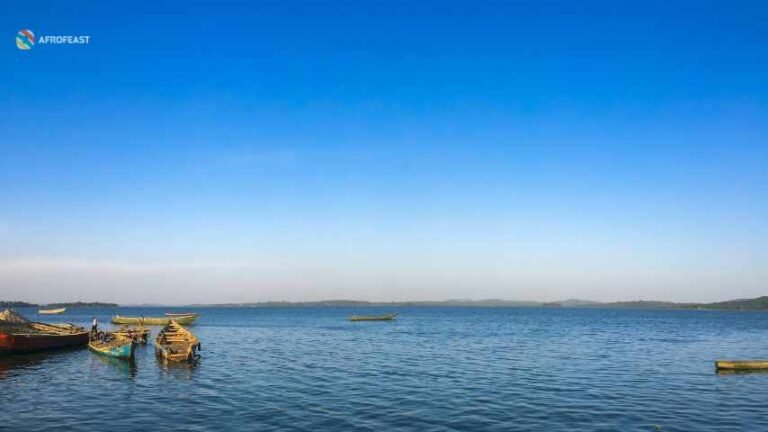 10 Reasons You Must Visit Uganda In 2025