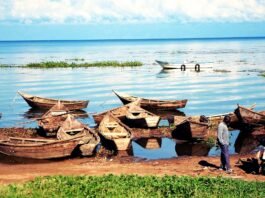 Best Islands in the Ssese Archipelago To Visit