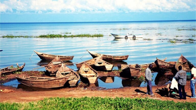 Best Islands in the Ssese Archipelago To Visit