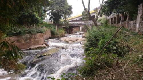 Nairobi National Museum