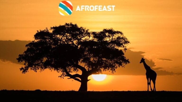 What You Want to Be Aware of the Serengeti National Park in Tanzania