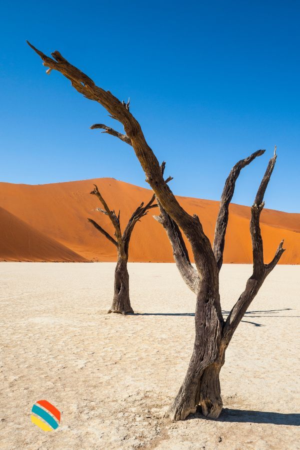 Deadvlei