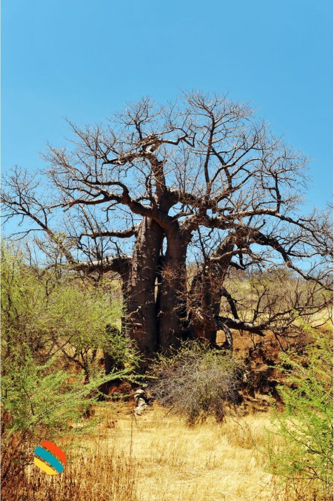 Kaokoland, Namibia