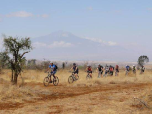 a group of people riding bikes