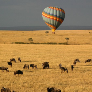 a hot air balloon in the sky with Kenyan Safari Experiences