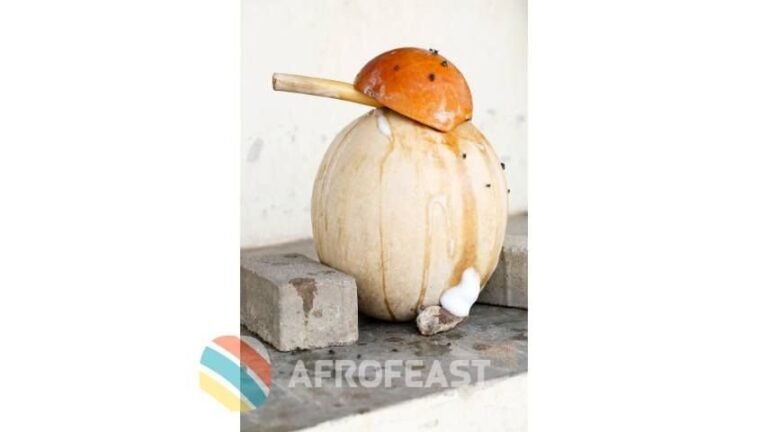 What is Palm Wine? A Refreshing Taste of West Africa