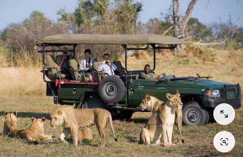 Kenyan Safari Tour Operator Vehicle