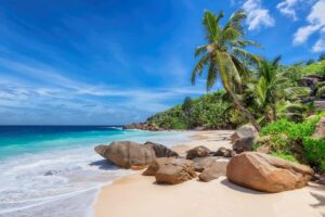 A serene tropical beach with large rocks, soft white sand, and tall palm trees under a bright blue sky.