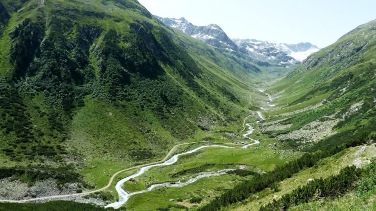 Top 5 Cleanest Countries In Africa