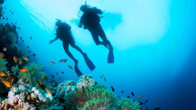 4 Reasons to Go Diving in the Red Sea This Year