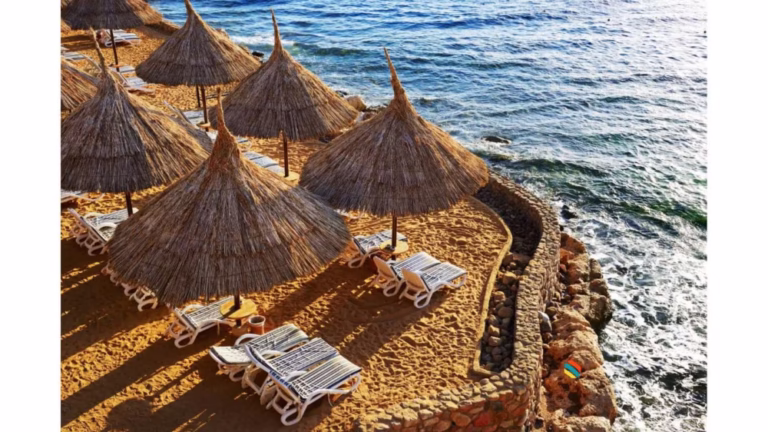 8 Best Safari Lodges in Africa (By Country) 