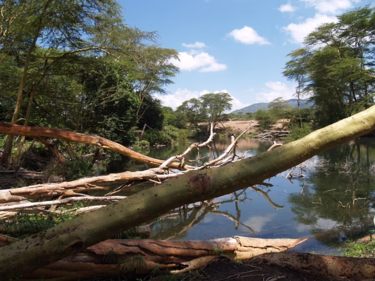 Best Places To Visit In Kenya