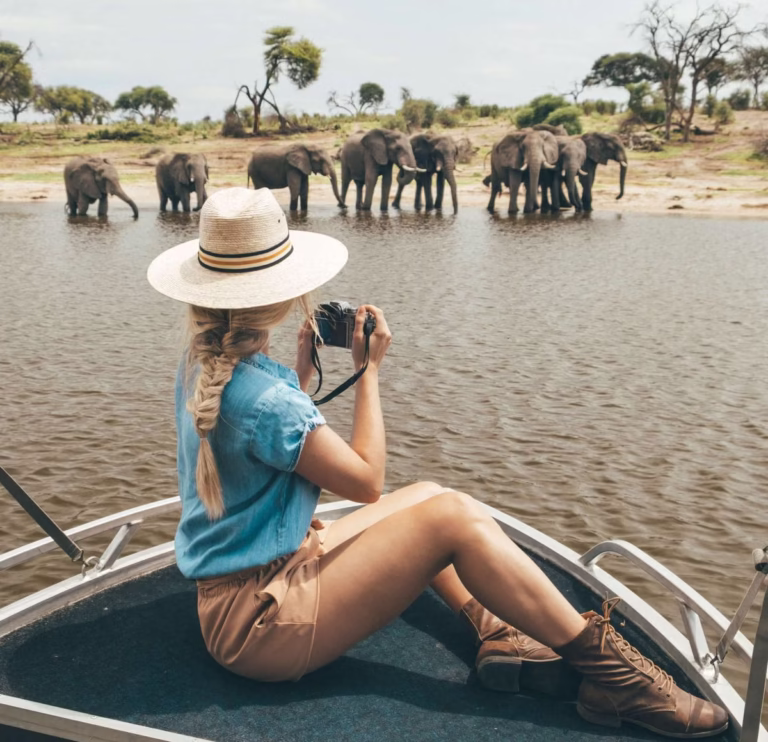 South Africa Safari Tours